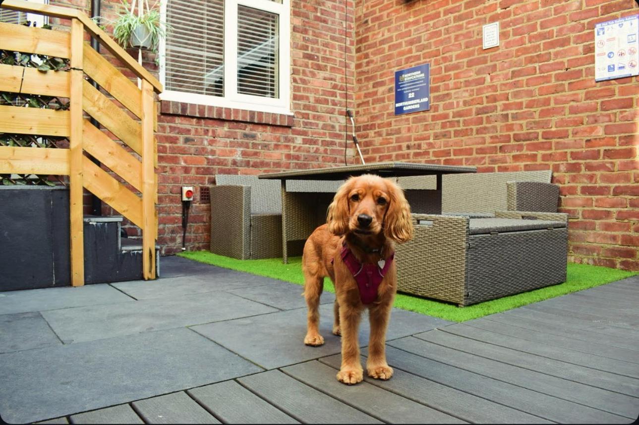 Jesmond Hot Tub, Free Parking, Near Shops & Restaurants, Location 1M To City מראה חיצוני תמונה